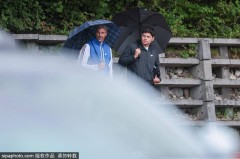 樊振东欧洲职业联赛生涯启航：德甲首秀引发的热议与期待