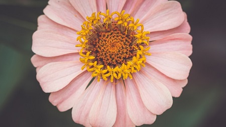 意甲媒体透露：皇马愿意在冬窗期间出租年轻球员恩德里克，米兰是对其感兴趣的俱乐部之一